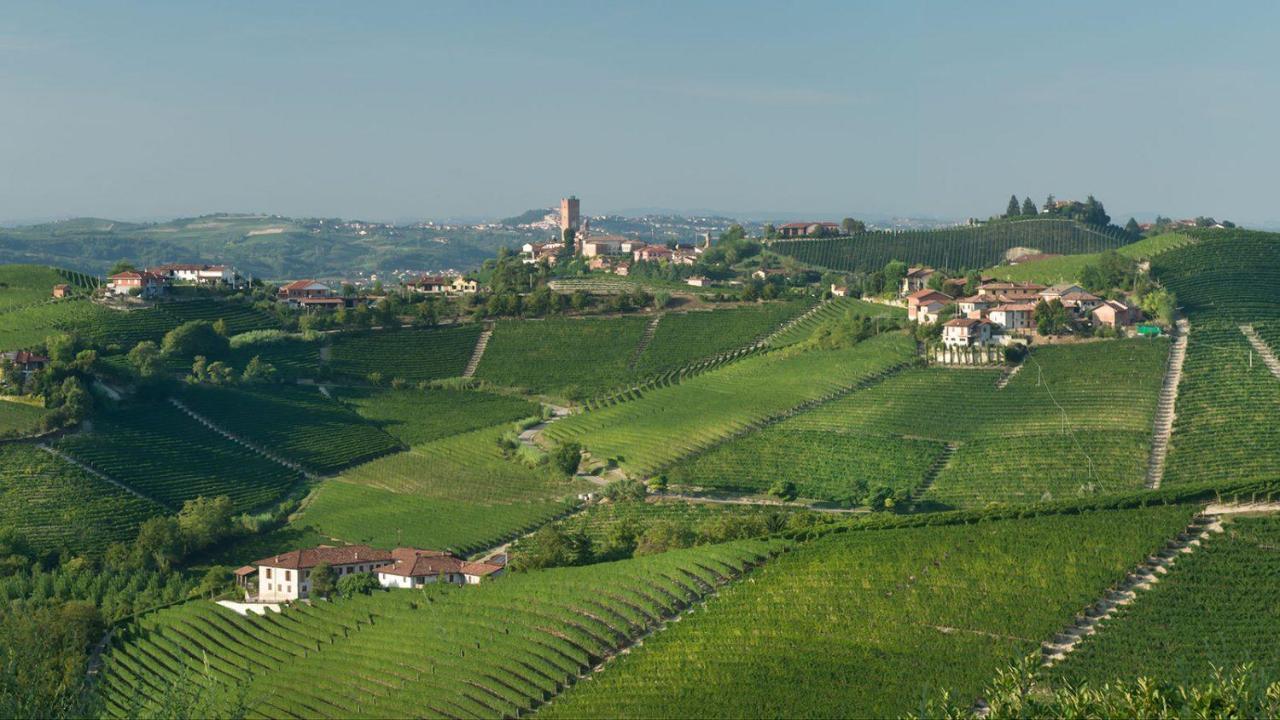 Agriturismo Tre Stelle 바르바레스코 외부 사진