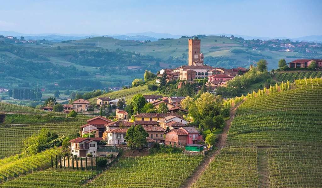 Agriturismo Tre Stelle 바르바레스코 외부 사진