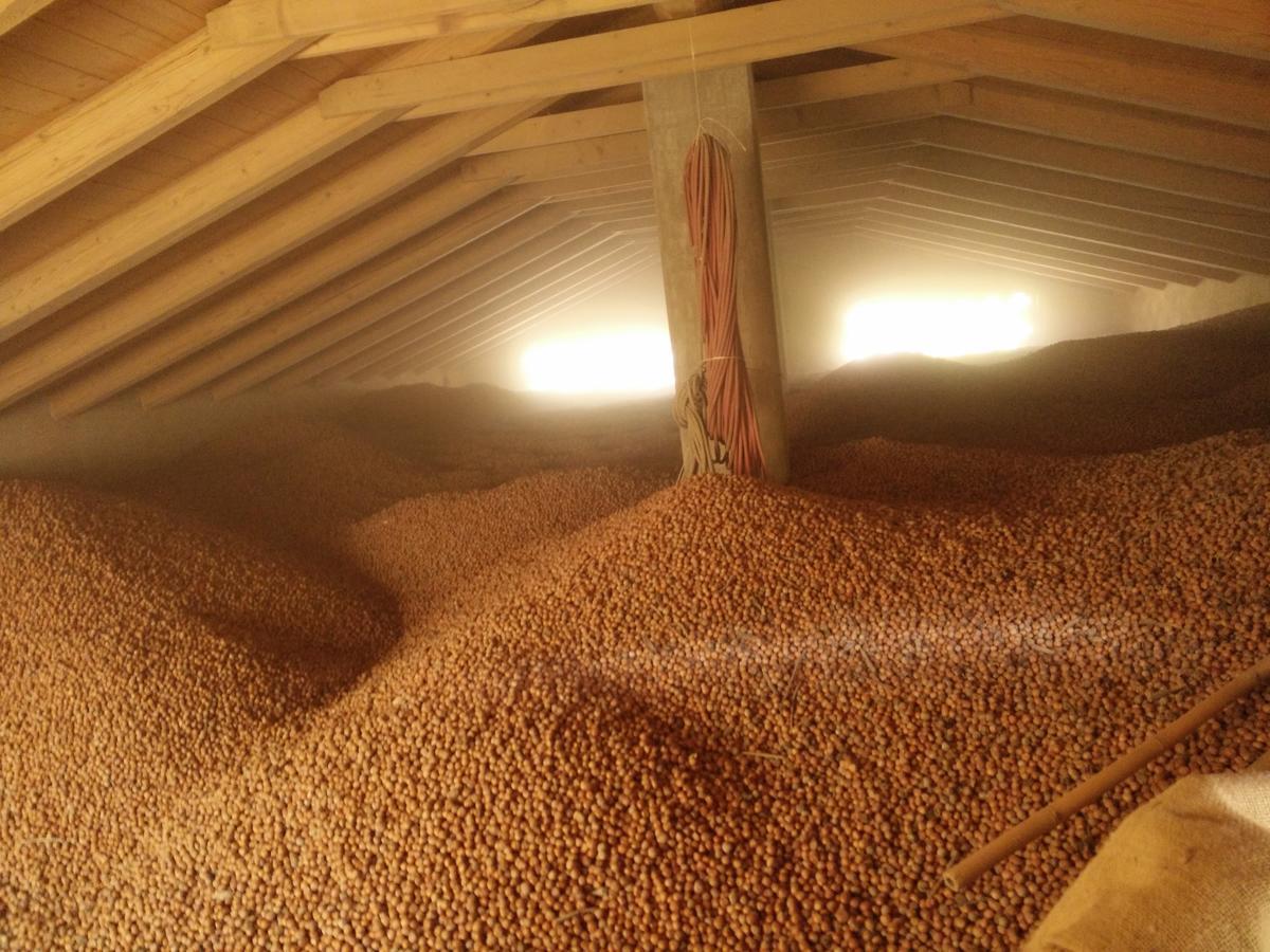 Agriturismo Tre Stelle 바르바레스코 외부 사진